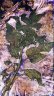 Jasnota biała, <i>Lamium album</i>, 2018 - Pigment on paper, image size 80x45cm, ed/5